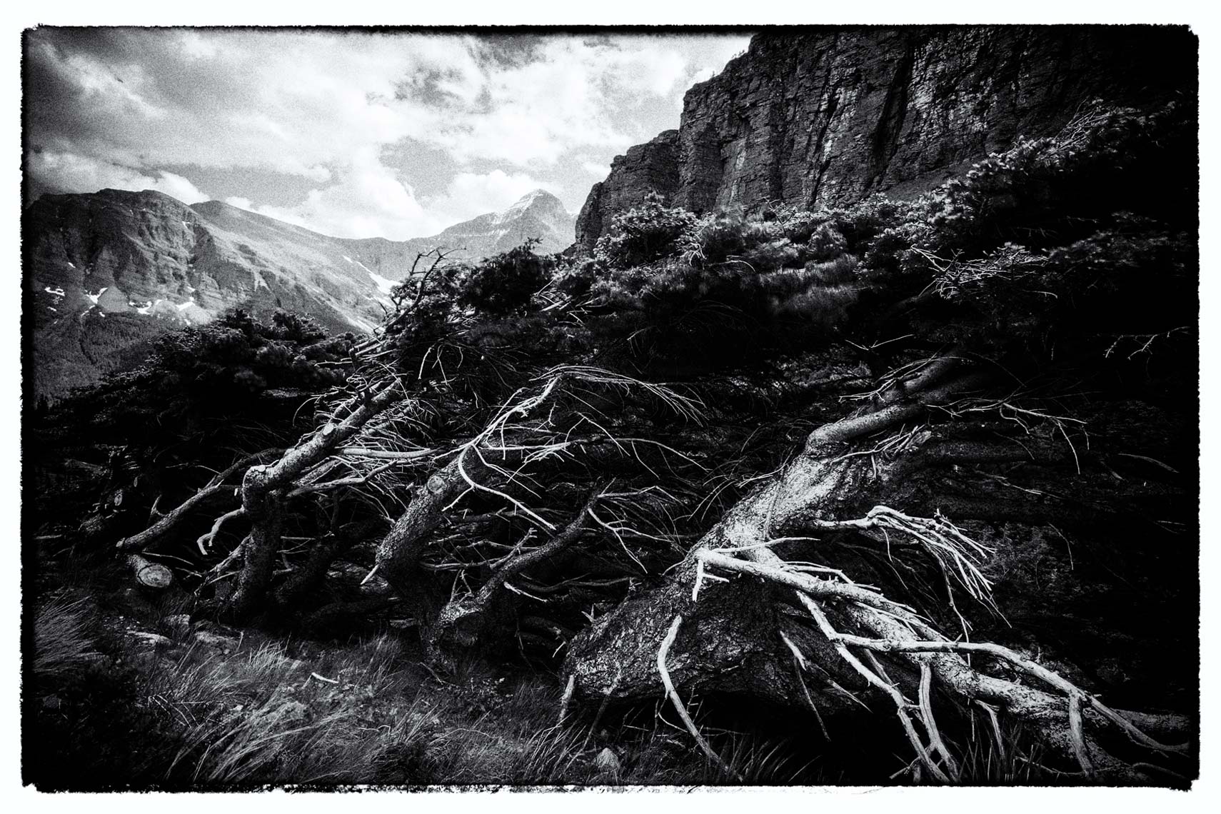 jason_davis_photo_3415-Edit